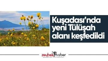 Kuşadası&rsquo;nda yeni T&uuml;l&uuml;şah alanı keşfedildi
