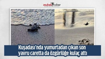 Kuşadası&rsquo;nda yumurtadan &ccedil;ıkan son yavru caretta da &ouml;zg&uuml;rl&uuml;ğe kula&ccedil; attı