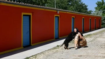 Kuşadası'ndaki Evcil Hayvan Rehabilitasyon Merkezi yenilendi