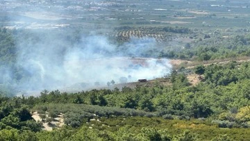 Kuşadası&rsquo;ndaki orman yangını b&uuml;y&uuml;meden s&ouml;nd&uuml;r&uuml;ld&uuml;