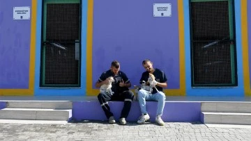 Kuşadası&rsquo;nın sokak hayvanları sevgi ve m&uuml;ziğin g&uuml;c&uuml;yle iyileşiyor