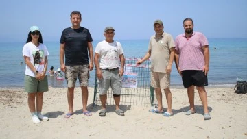 Kuşadası'nın tertemiz plajları caretta caretta yuvalarına ev sahipliği yapıyor