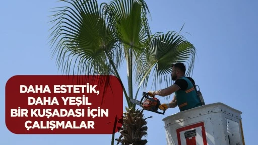 Kuşadası – Söke – İzmir Çevreyoluna Estetik Dokunuş