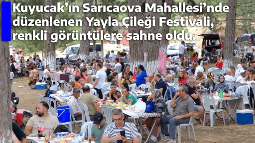 Kuyucak’ın Sarıcaova Mahallesi’nde düzenlenen Yayla Çileği Festivali, renkli görüntülere sahne oldu.