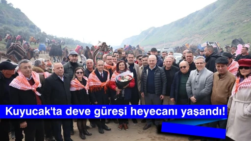 Kuyucak'ta deve g&uuml;reşi heyecanı yaşandı! 