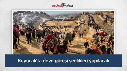 Kuyucak'ta deve g&uuml;reşi şenlikleri yapılacak