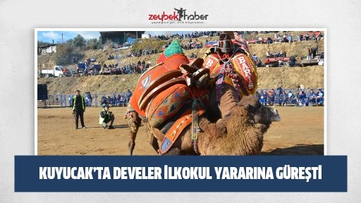 Kuyucak&rsquo;ta develer ilkokul yararına g&uuml;reşti