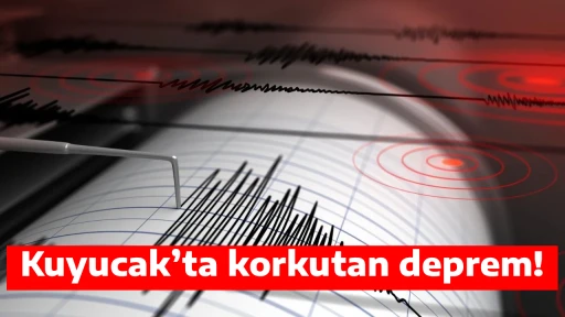Kuyucak&rsquo;ta korkutan deprem!