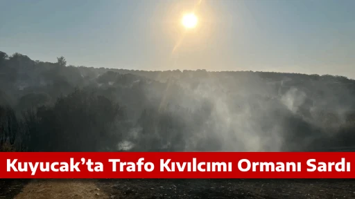- Kuyucak’ta Trafo Kıvılcımı Ormanı Sardı