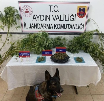 Kuyucak'ta uyuşturucu operasyonu