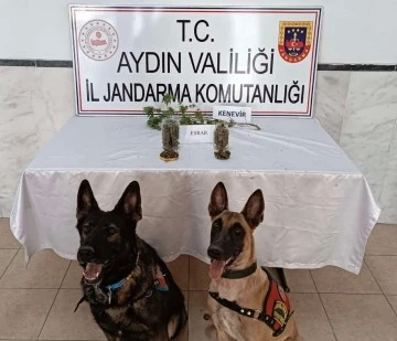 Kuyucak&rsquo;ta uyuşturucu operasyonu