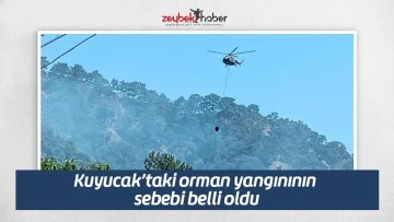 Kuyucak&rsquo;taki orman yangınının sebebi belli oldu