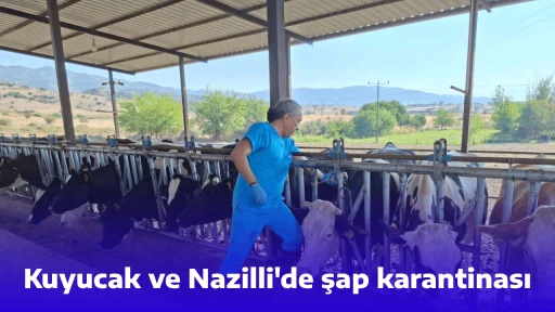 Kuyucak ve Nazilli'de şap karantinası
