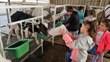 Kuyucaklı &ccedil;ocuklar buzağıları biberonla besledi