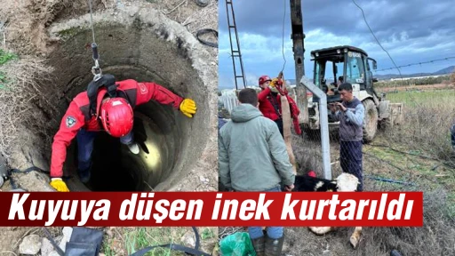 Kuyuya d&uuml;şen inek kurtarıldı