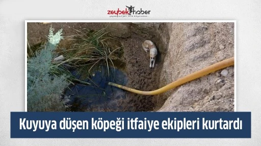 Kuyuya d&uuml;şen k&ouml;peği itfaiye ekipleri kurtardı