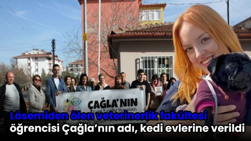 L&ouml;semiden &ouml;len veterinerlik fak&uuml;ltesi &ouml;ğrencisi &Ccedil;ağla&rsquo;nın adı, kedi evlerine verildi