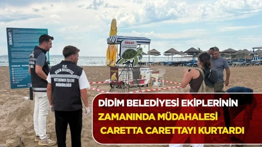 Manastır Koyu&rsquo;nda Yaşam M&uuml;cadelesi