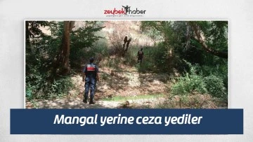 Mangal yerine ceza yediler