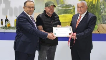 Memecik zeytinyağında kaliteli &uuml;r&uuml;nler belirlendi