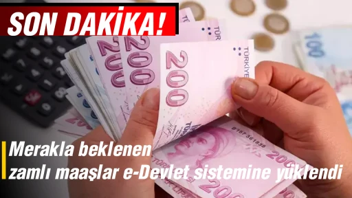 Merakla beklenen zamlı maaşlar e-Devlet sistemine y&uuml;klendi