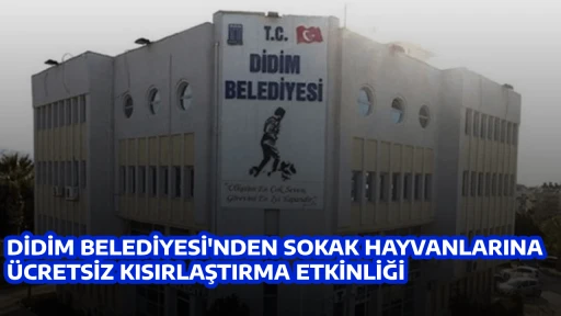 DİDİM BELEDİYESİ'NDEN SOKAK HAYVANLARINA ÜCRETSİZ KISIRLAŞTIRMA ETKİNLİĞİ