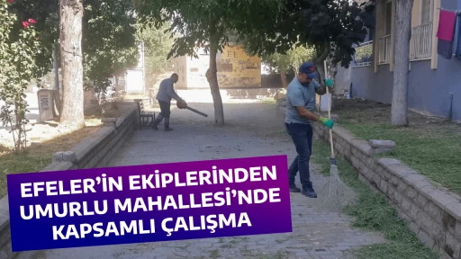 EFELER&rsquo;İN EKİPLERİNDEN UMURLU MAHALLESİ&rsquo;NDE KAPSAMLI &Ccedil;ALIŞMA