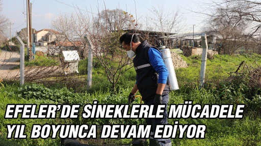 EFELER&rsquo;DE SİNEKLERLE M&Uuml;CADELE YIL BOYUNCA DEVAM EDİYOR