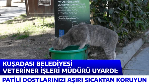 KUŞADASI BELEDİYESİ VETERİNER İŞLERİ M&Uuml;D&Uuml;R&Uuml; UYARDI: PATİLİ DOSTLARINIZI AŞIRI SICAKTAN KORUYUN