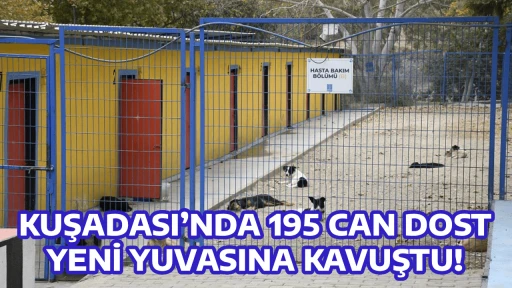 KUŞADASI&rsquo;NDA 195 CAN DOST YENİ YUVASINA KAVUŞTU!