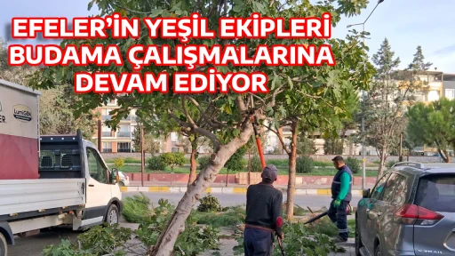 EFELER&rsquo;İN YEŞİL EKİPLERİ BUDAMA &Ccedil;ALIŞMALARINA DEVAM EDİYOR