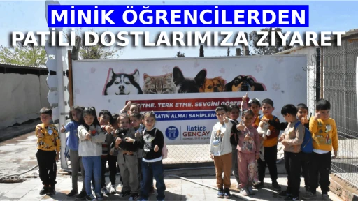 MİNİK &Ouml;ĞRENCİLERDEN, PATİLİ DOSTLARIMIZA ZİYARET