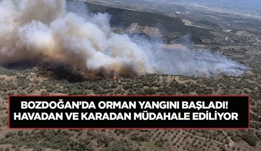 BOZDOĞAN&rsquo;DA ORMAN YANGINI BAŞLADI! HAVADAN VE KARADAN M&Uuml;DAHALE EDİLİYOR