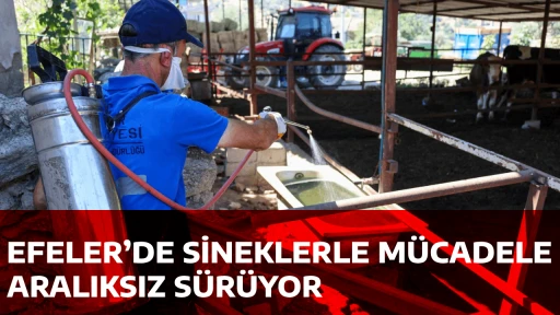 EFELER’DE SİNEKLERLE MÜCADELE ARALIKSIZ SÜRÜYOR
