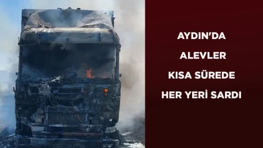 AYDIN'DA ALEVLER KISA SÜREDE HER YERİ SARDI