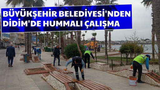 B&Uuml;Y&Uuml;KŞEHİR BELEDİYESİ'NDEN DİDİM'DE HUMMALI &Ccedil;ALIŞMA