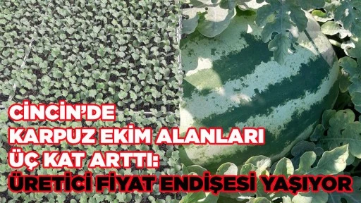 CİNCİN&rsquo;DE KARPUZ EKİM ALANLARI &Uuml;&Ccedil; KAT ARTTI: &Uuml;RETİCİ FİYAT ENDİŞESİ YAŞIYOR