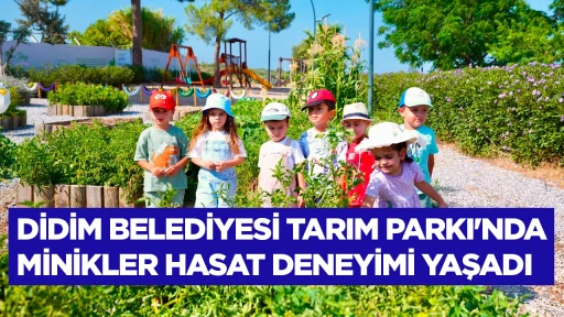 DİDİM BELEDİYESİ TARIM PARKI'NDA MİNİKLER HASAT DENEYİMİ YAŞADI