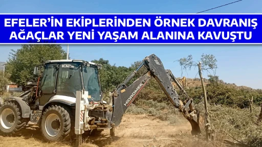EFELER&rsquo;İN EKİPLERİNDEN &Ouml;RNEK DAVRANIŞ, AĞA&Ccedil;LAR YENİ YAŞAM ALANINA KAVUŞTU