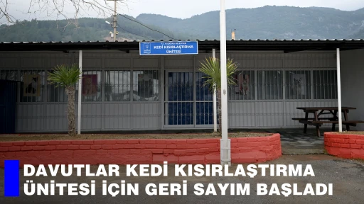 DAVUTLAR KEDİ KISIRLAŞTIRMA &Uuml;NİTESİ İ&Ccedil;İN GERİ SAYIM BAŞLADI 