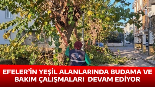 EFELER&rsquo;İN YEŞİL ALANLARINDA BUDAMA VE BAKIM &Ccedil;ALIŞMALARI  DEVAM EDİYOR