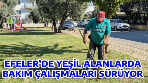 EFELER&rsquo;DE YEŞİL ALANLARDA BAKIM &Ccedil;ALIŞMALARI S&Uuml;R&Uuml;YOR