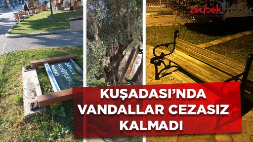 KUŞADASI&rsquo;NDA VANDALLAR CEZASIZ KALMADI 