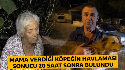 MAMA VERDİĞİ K&Ouml;PEĞİN HAVLAMASI SONUCU 20 SAAT SONRA BULUNDU
