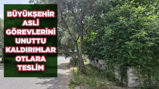 B&Uuml;Y&Uuml;KŞEHİR ASLİ G&Ouml;REVLERİNİ UNUTTU KALDIRIMLAR OTLARA TESLİM