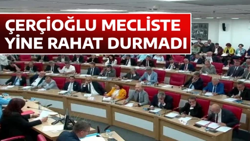 &Ccedil;ER&Ccedil;İOĞLU MECLİSTE YİNE RAHAT DURMADI