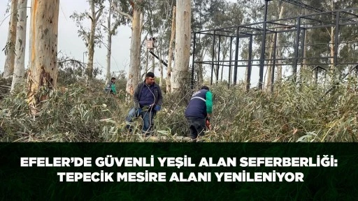 EFELER&rsquo;DE G&Uuml;VENLİ YEŞİL ALAN SEFERBERLİĞİ: TEPECİK MESİRE ALANI YENİLENİYOR