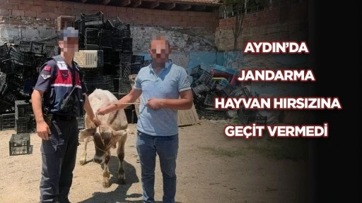 AYDIN’DA JANDARMA HAYVAN HIRSIZINA GEÇİT VERMEDİ