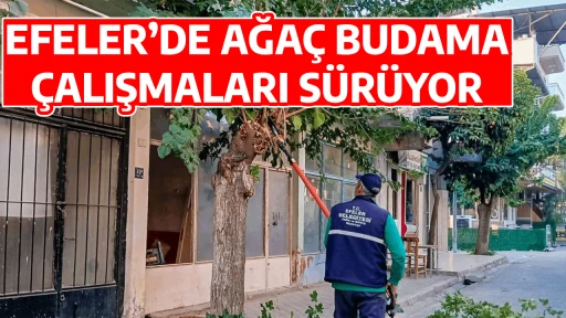 EFELER&rsquo;DE AĞA&Ccedil; BUDAMA &Ccedil;ALIŞMALARI S&Uuml;R&Uuml;YOR