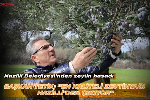 Nazilli Belediyesi&rsquo;nden zeytin hasadı BAŞKAN TETİK; &ldquo;EN KALİTELİ ZEYTİNYAĞI NAZİLLİ&rsquo;DEN &Ccedil;IKIYOR&rdquo;